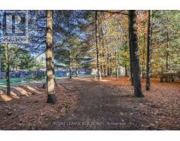 22 Rosewood Drive, Adjala Tosorontio, ON L0M1M0 Photo 44
