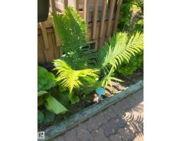 #128 4521 Lakeshore Rd, Rural Parkland County, AB T0E2K0 Photo 41