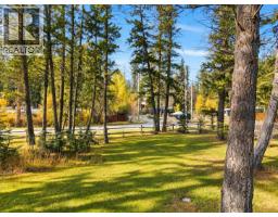 4892 Ogilvey Avenue, Fairmont Hot Springs, BC V0A1L1 Photo 70