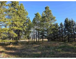 #1 54030 Rge Road 274, Rural Parkland County, AB T7X3S9 Photo 25