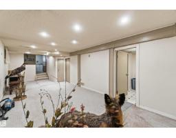 10928 41a Av Nw, Edmonton, AB T6J2T3 Photo 42