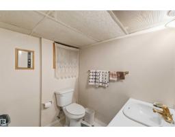10928 41a Av Nw, Edmonton, AB T6J2T3 Photo 43