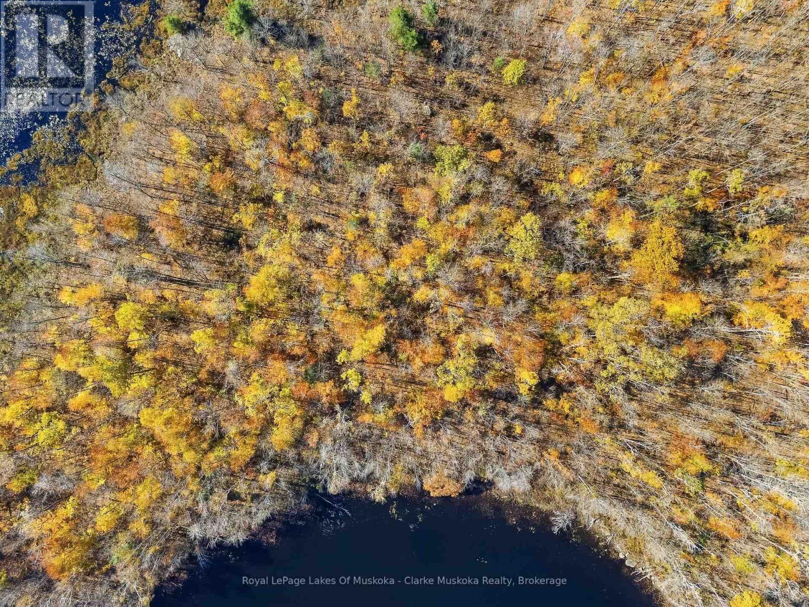 LOT 2 - 4805 MUSKOKA 169 ROAD, Muskoka Lakes (Medora) — photo 6