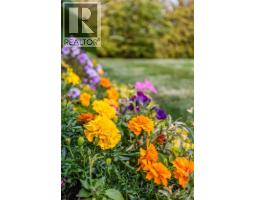 Family room - 46 Ross Haven Place Se, Medicine Hat, AB T1B2V1 Photo 7