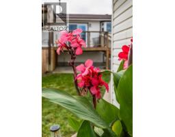 3pc Bathroom - 46 Ross Haven Place Se, Medicine Hat, AB T1B2V1 Photo 9