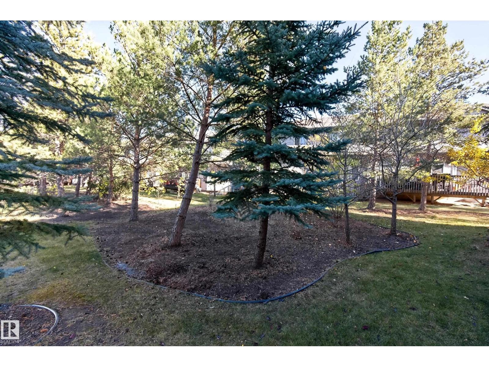 #404 41 Summerwood Boulevard, photo 4