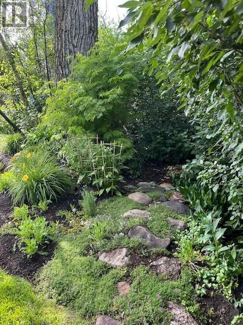 Photo 39