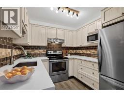 Furnace - 25, 156 Canoe Drive Sw, Airdrie, AB T4B2Z3 Photo 10