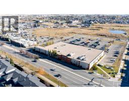 25, 156 Canoe Drive Sw, Airdrie, AB T4B2Z3 Photo 39