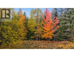 899 Coleman Road, Riondel, BC V0B2B0 Photo 29