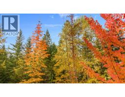 899 Coleman Road, Riondel, BC V0B2B0 Photo 33