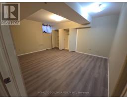 Laundry room - 229 Harris Avenue, Richmond Hill, ON L4E3M3 Photo 14