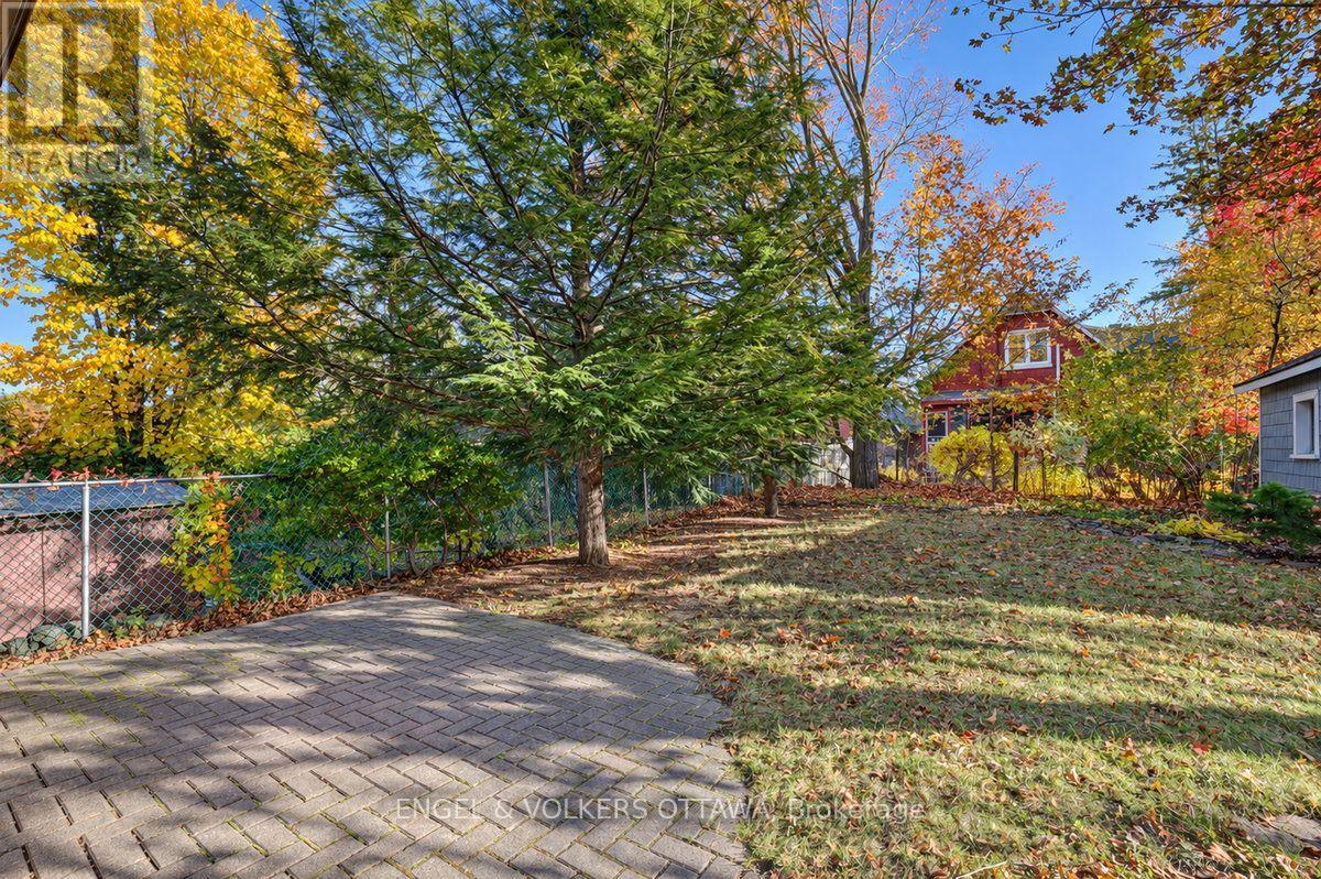 patio and rear yard