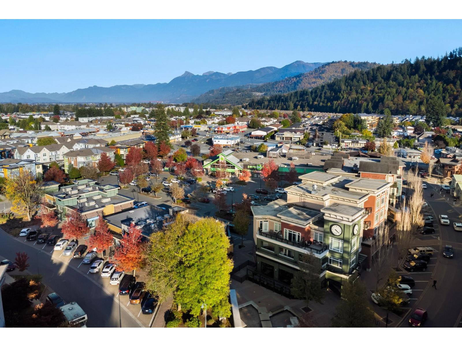 10 45137 NICOMEN CRESCENT, Garrison Crossing, Chilliwack - Image 1