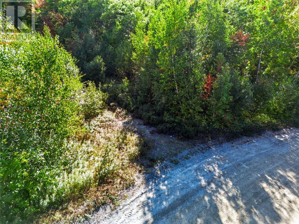 725 Pinecone Road, Skead — photo 3