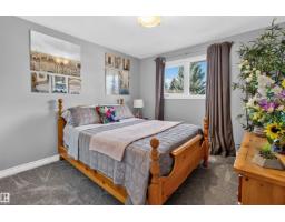 1127 68 St Nw, Edmonton, AB T6K3K3 Photo 21