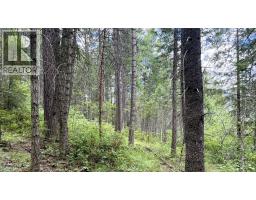 10625 Granby Road Lot# 1, Grand Forks, BC V0H1H1 Photo 56