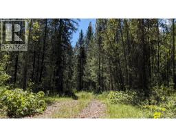 10625 Granby Road Lot# 1, Grand Forks, BC V0H1H1 Photo 58