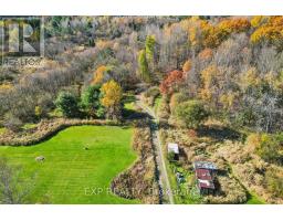 982 Raymond Road, Muskoka Lakes, ON P0B1M0 Photo 18