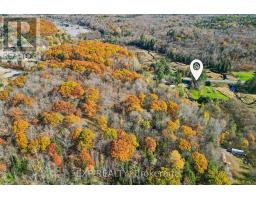 982 Raymond Road, Muskoka Lakes, ON P0B1M0 Photo 21