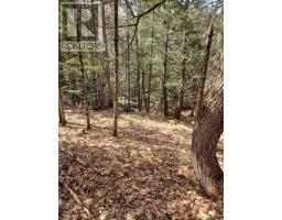 982 Raymond Road, Muskoka Lakes, ON P0B1M0 Photo 27