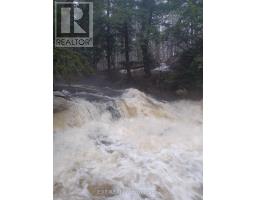 982 Raymond Road, Muskoka Lakes, ON P0B1M0 Photo 30