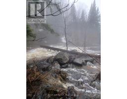 982 Raymond Road, Muskoka Lakes, ON P0B1M0 Photo 31