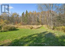 982 Raymond Road, Muskoka Lakes, ON P0B1M0 Photo 6