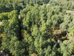 4 Mile 71n Road, Molson, MB R0E0C0 Photo 7