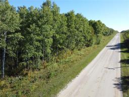 4 Mile 71n Road, Molson, MB R0E0C0 Photo 10