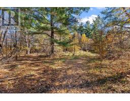 16 Royal Pines Road, North Algona Wilberforce, ON K0J1T0 Photo 35