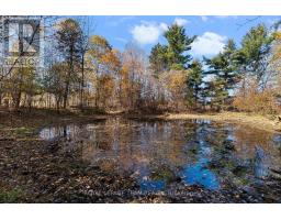 16 Royal Pines Road, North Algona Wilberforce, ON K0J1T0 Photo 37