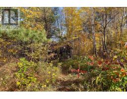 16 Royal Pines Road, North Algona Wilberforce, ON K0J1T0 Photo 40