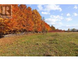 16 Royal Pines Road, North Algona Wilberforce, ON K0J1T0 Photo 42