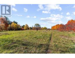 16 Royal Pines Road, North Algona Wilberforce, ON K0J1T0 Photo 44
