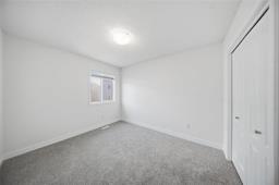 315 Castlebury Meadows Drive, Winnipeg, MB R2R0S9 Photo 29