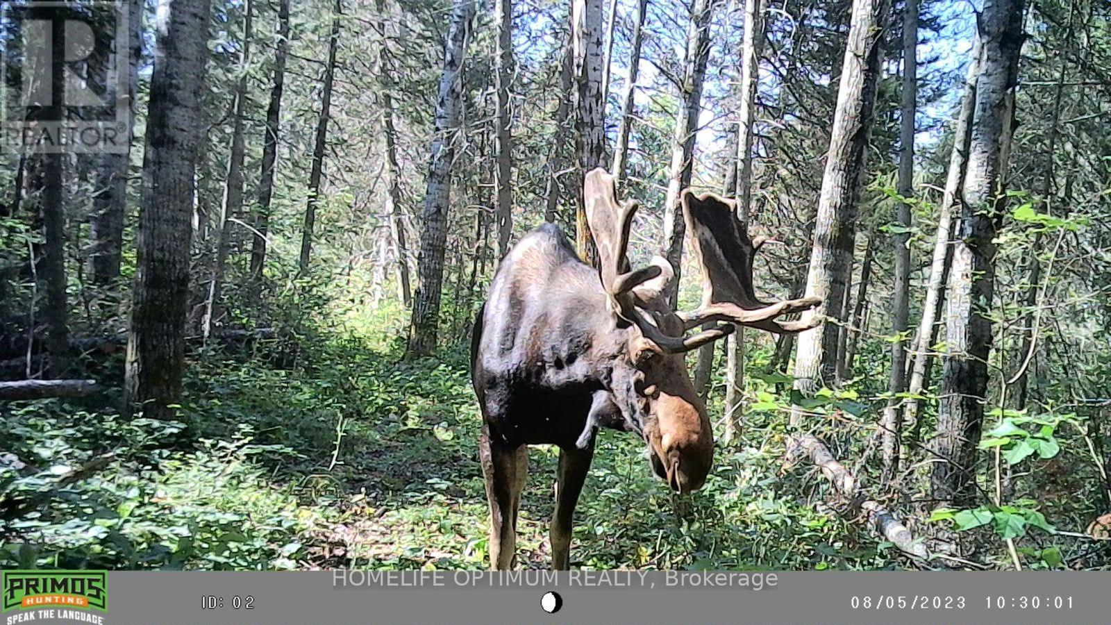 PCL 3898 BRISTOL TOWNSHIP MINING CLAIM P. 8531, Timmins (MTJ - Mountjoy Rural) — photo 10