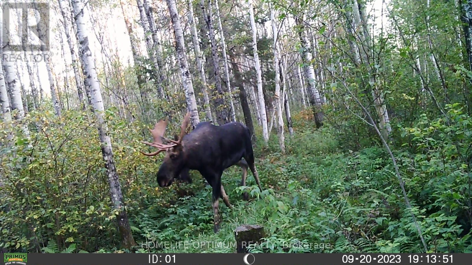 PCL 3898 BRISTOL TOWNSHIP MINING CLAIM P. 8531, Timmins (MTJ - Mountjoy Rural) — photo 12