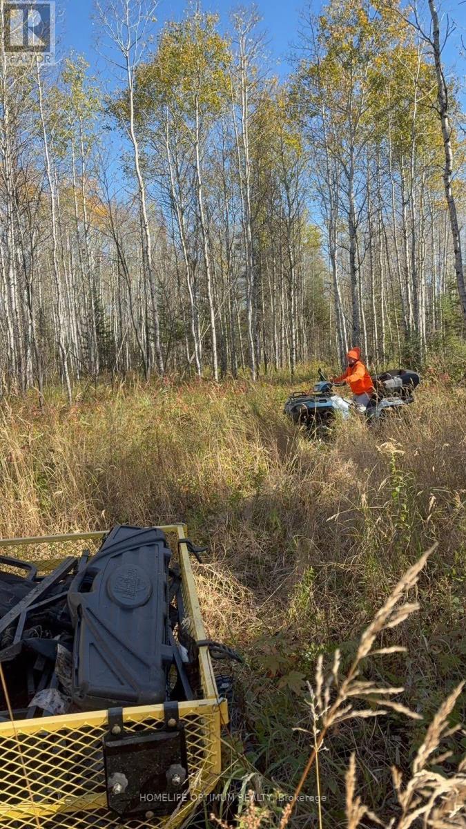 PCL 3898 BRISTOL TOWNSHIP MINING CLAIM P. 8531, Timmins (MTJ - Mountjoy Rural) — photo 4