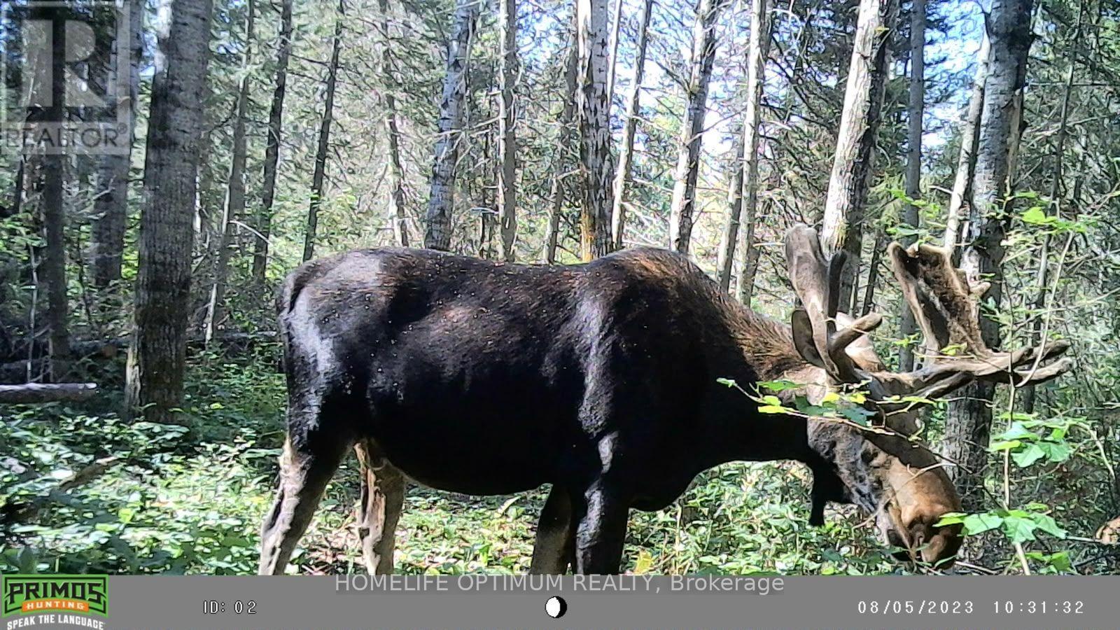 PCL 3898 BRISTOL TOWNSHIP MINING CLAIM P. 8531, Timmins (MTJ - Mountjoy Rural) — photo 8