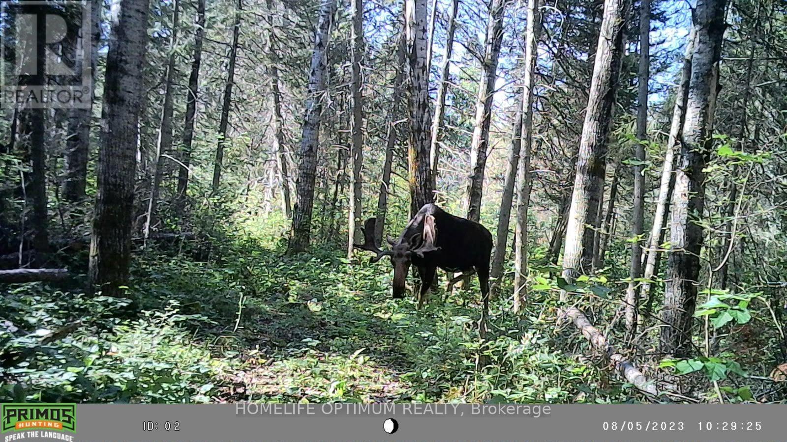 PCL 3898 BRISTOL TOWNSHIP MINING CLAIM P. 8531, Timmins (MTJ - Mountjoy Rural) — photo 9