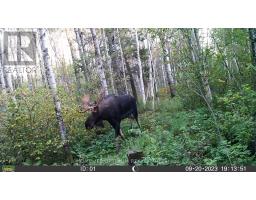 Pcl 3898 Bristol Township Mining Claim P. 8531, Timmins, ON P4R0E7 Photo 12