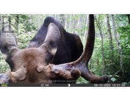 Pcl 3898 Bristol Township Mining Claim P. 8531, Timmins, ON P4R0E7 Photo 14