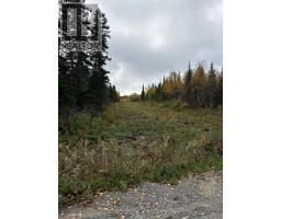 Pcl 3898 Bristol Township Mining Claim P. 8531, Timmins, ON P4R0E7 Photo 7