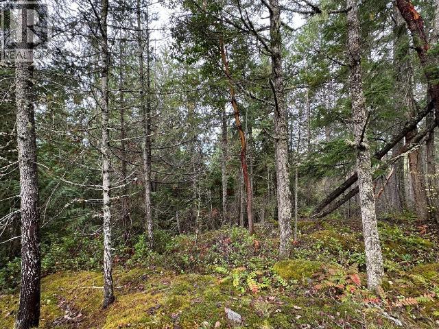 SL 1-9660 ROOTS WAY, Powell River - Image 1