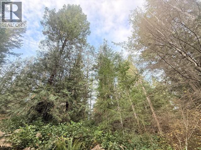 SL 5-9660 ROOTS WAY, Powell River - Image 1