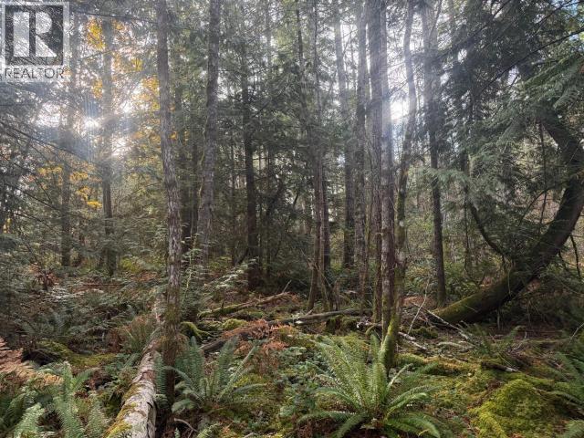 SL 7-9660 ROOTS WAY, Powell River - Image 1