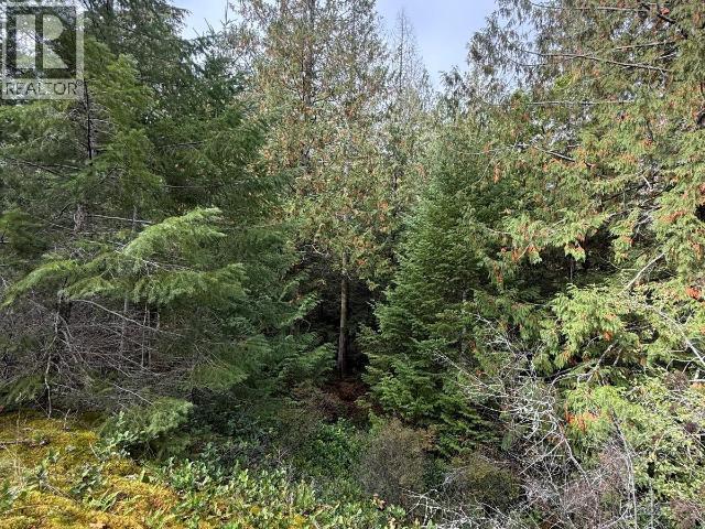 SL 2-9660 ROOTS WAY, Powell River - Image 1