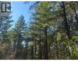 Sl 6-9660 Roots Way, Powell River, BC V0N2G0 Photo 6
