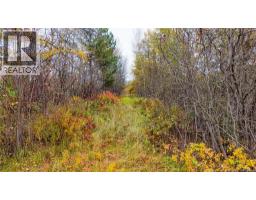 3457 Route 490, Dundas, NB E1G3R7 Photo 20